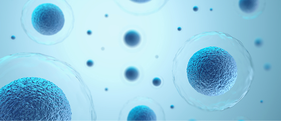 Microscopic view of cells, highlighting research progress in cancer news.