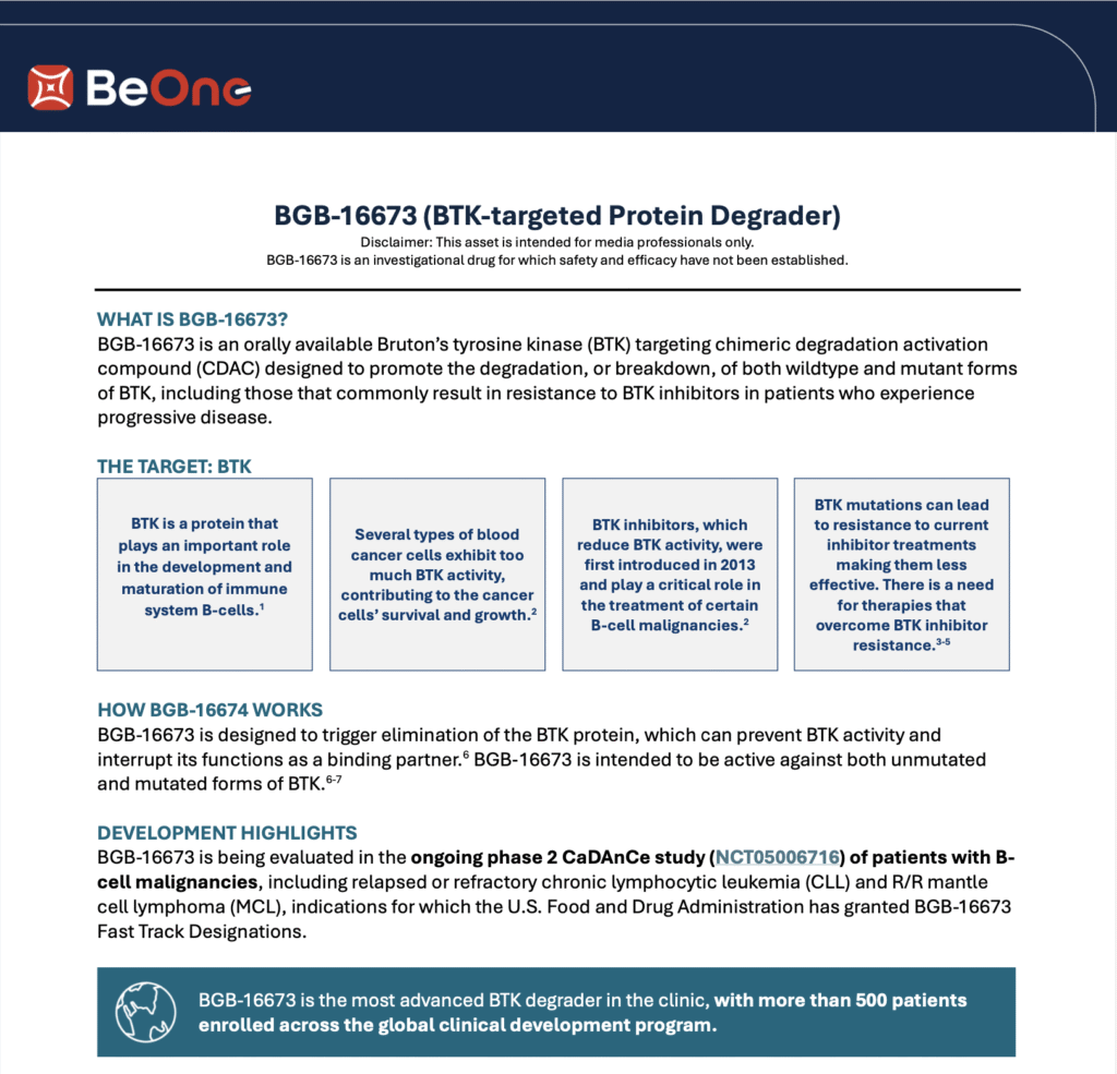 Global BGB-16673 Fact Sheet