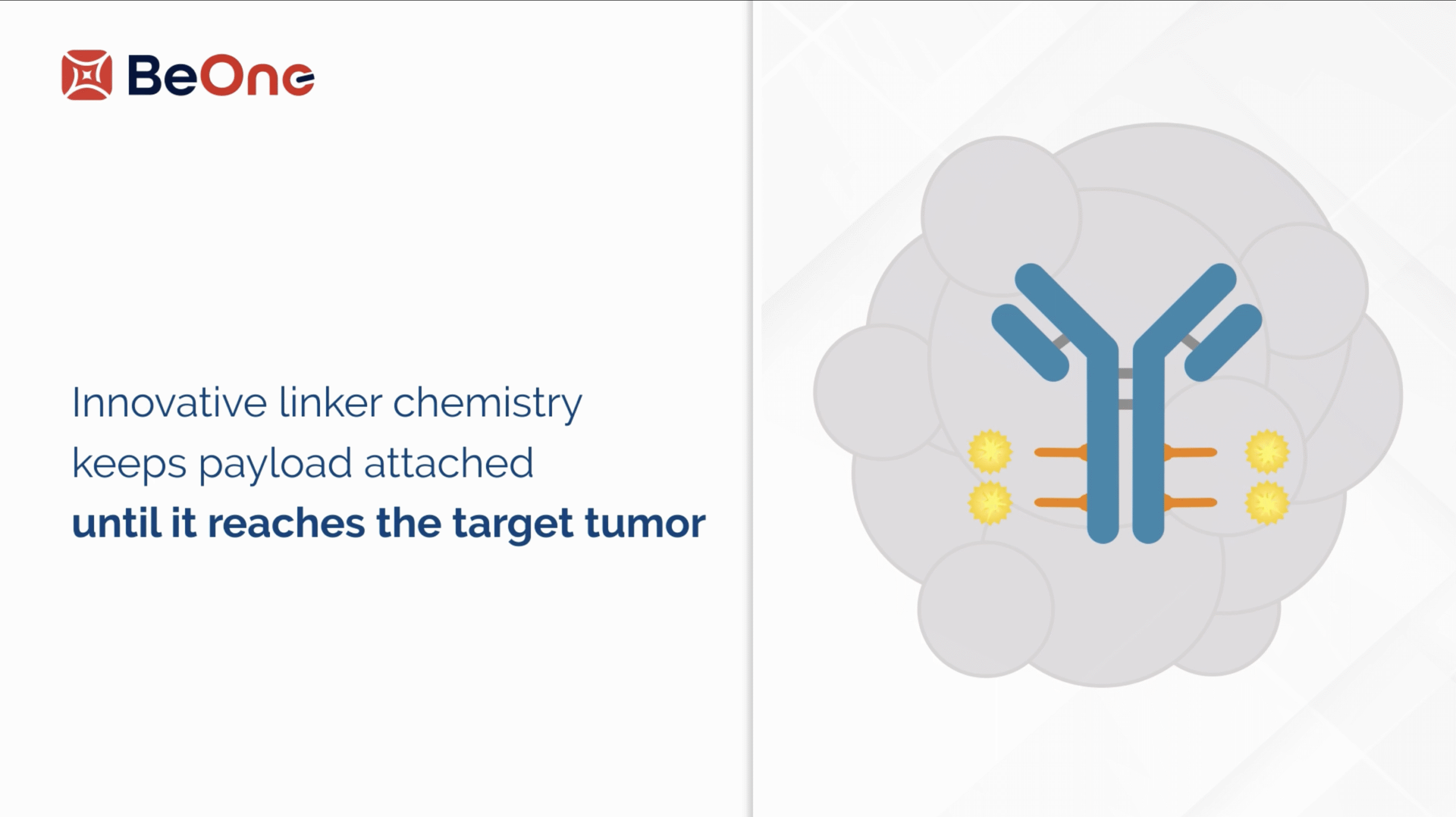 Illustration of antibody-drug conjugate showing stable linker chemistry that releases payload only at the target tumor site.